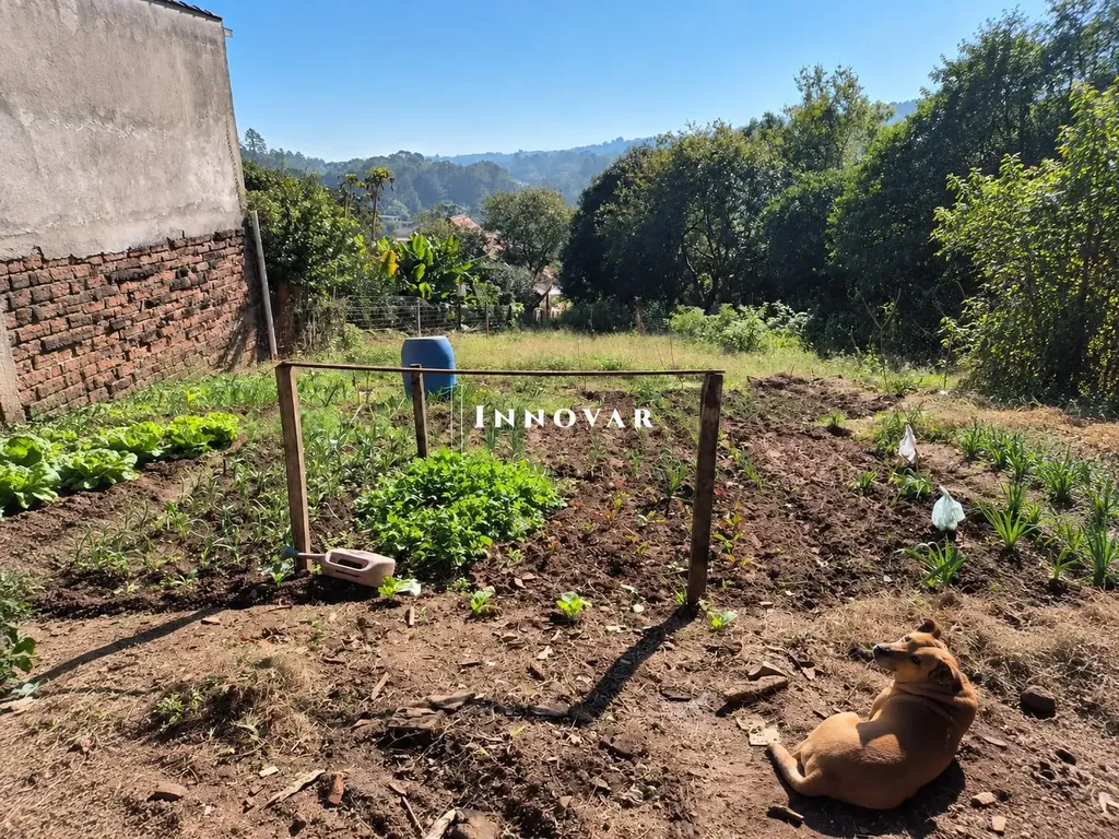 Terreno à venda na Fazenda São Borja, São Leopoldo, com horta cultivada, árvores ao fundo e vista para os morros
